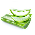 image of aloe vera which is used for deep cleansing the body