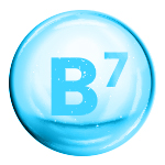 Biotina