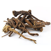 Dandelion Root