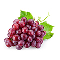 Semillas de Uva