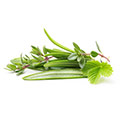 Foto de ingredientes herbales
