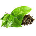 Extracto de té verde
