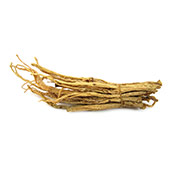 Ginseng Koreano