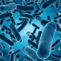 Foto de probioticos