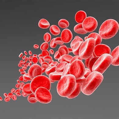 Importancia De Una Circulación Sanguínea Sana