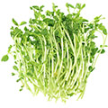 image of vitamin E