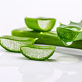 image of soybean