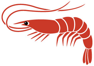 Imagen de krill