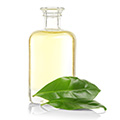 image of tea tree oil