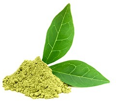 Imagen de polvo de Té Verde