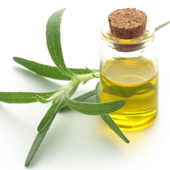 Rosemary Oil